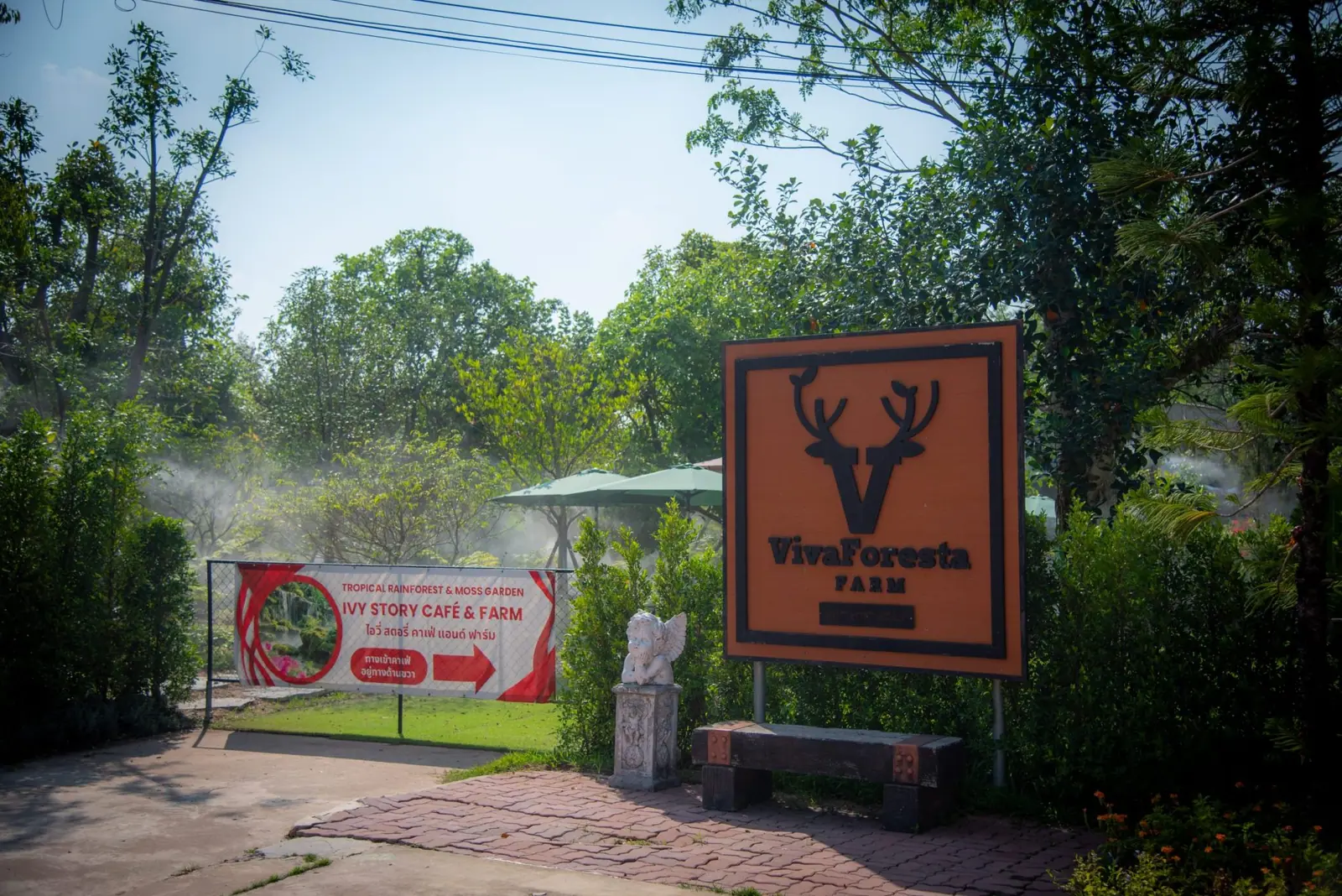 Ivy Story Café & Farm ไปตามสายหมอก