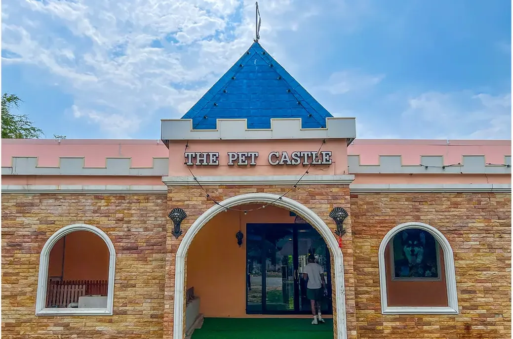 THE PET CASTLE เล่นเพลิน หมา แมว นก