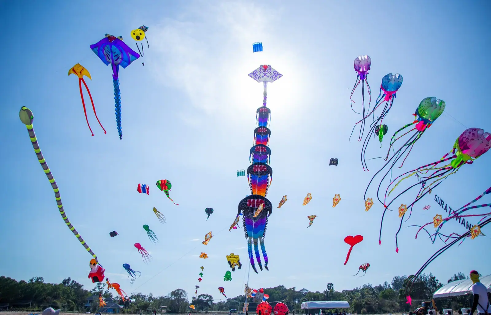 นายกรัฐมนตรีเปิดงาน Suratthani Kite Festival ยกประเพณีว่าวดึงคนท่องเที่ยว