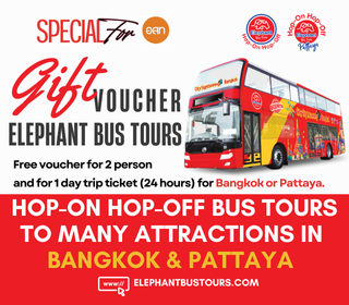 บัตรกำนัลส่วนลด Elephant Hop on Hop off เส้นทางกรุงเทพ หรือ พัทยา