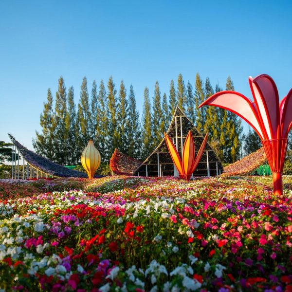 ศูนย์เรียนรู้ฯ ฟลอร่า พาร์ค ถ้าคุณอยากชมดอกไม้