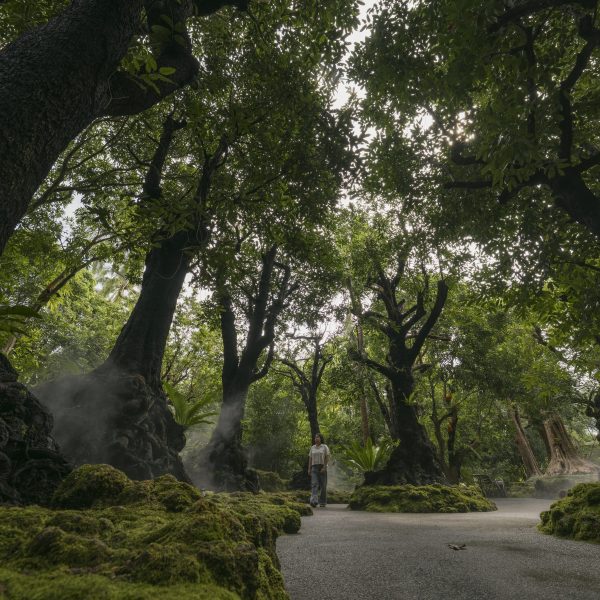 ช้างทอง เฮอริเทจ ปาร์ค พิพิธภัณฑ์ต้นไม้โบราณแห่งแรกของไทย