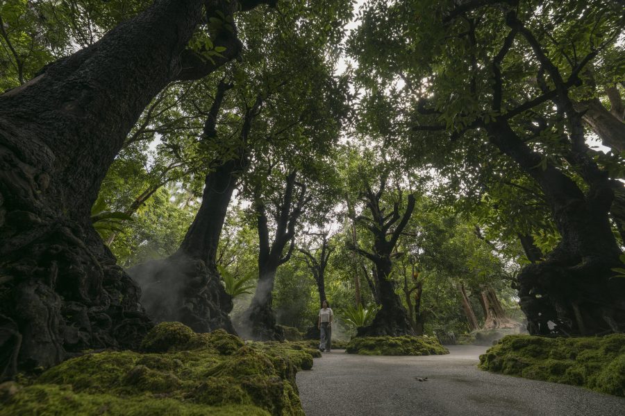 ช้างทอง เฮอริเทจ ปาร์ค พิพิธภัณฑ์ต้นไม้โบราณแห่งแรกของไทย