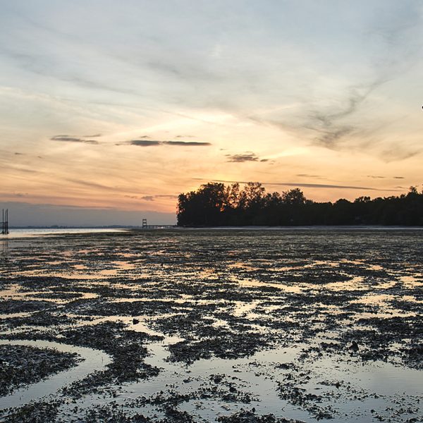 ลิบง ที่ตรงนี้มอบแด่เจ้าพะยูน