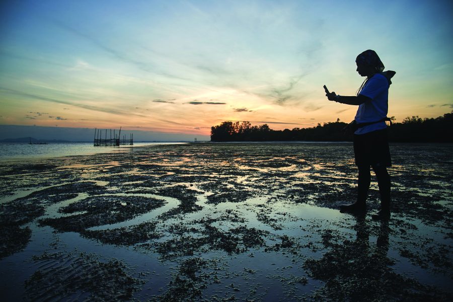 ลิบง ที่ตรงนี้มอบแด่เจ้าพะยูน