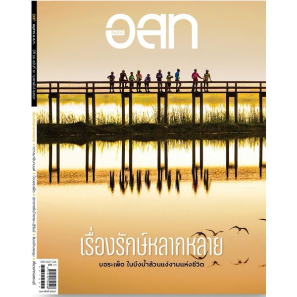 อ.ส.ท. กุมภาพันธ์ 2569