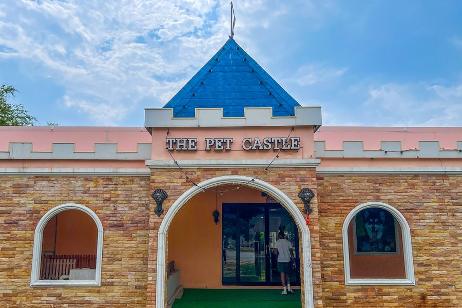 THE PET CASTLE เล่นเพลิน หมา แมว นก