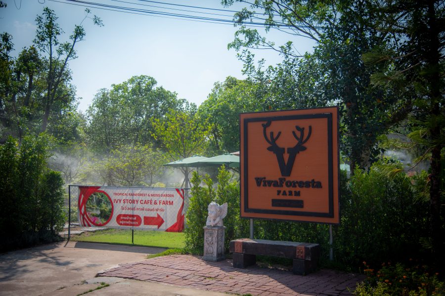 Ivy Story Café & Farm ไปตามสายหมอก